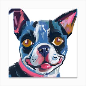 Boston Terrier 04 Canvas Print