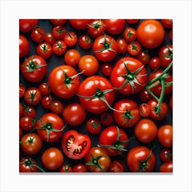 Red Tomatoes On Black Background Canvas Print