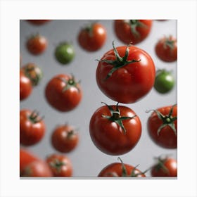 Tomatoes In The Air Canvas Print