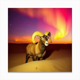 Aurora Borealis 1 Canvas Print