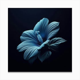 Hibiscus Flower Canvas Print