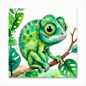 Chamelon Canvas Print