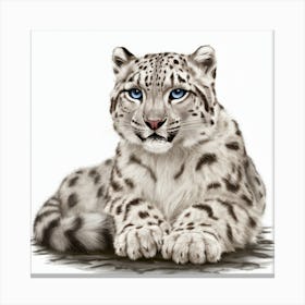 Snow Leopard Canvas Print