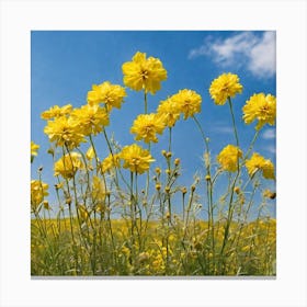 Yellow Cosmos Flowers 2 Canvas Print