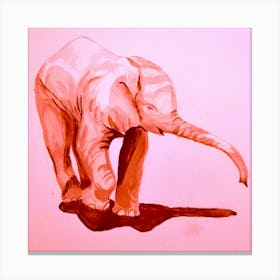 Elephant In Pink Canvas Print