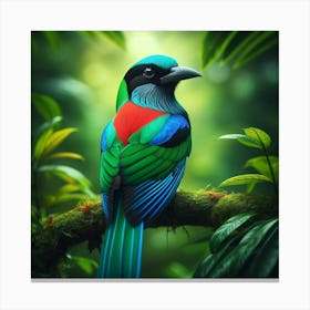 Colorful Bird In The Forest Canvas Print