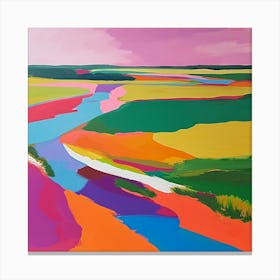 Colourful Abstract The Broads England 3 Canvas Print