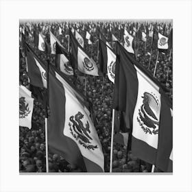 Mexican Flags 5 Canvas Print