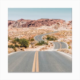 Desert Highway Canvas Print