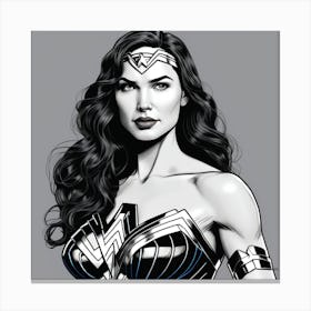 Wonder Woman 2 Canvas Print
