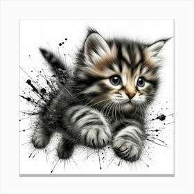 Kitten Running Canvas Print