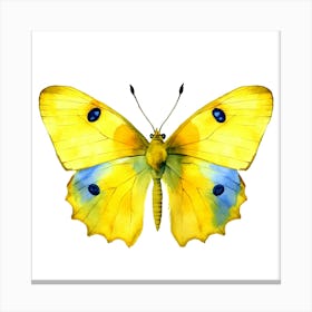 Yellow Butterfly Canvas Print