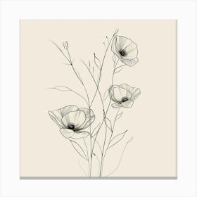 Poppies 46 Canvas Print