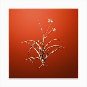 Gold Botanical Spiderwort on Tomato Red Canvas Print