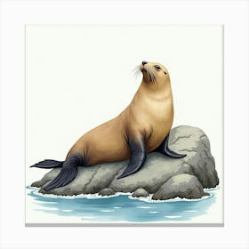 Sea Lion 1 Canvas Print