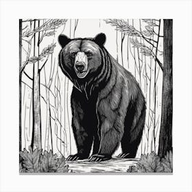 Black Bear In The Woods 1 Canvas Print