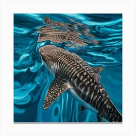 Shark In The Water Canvas Print