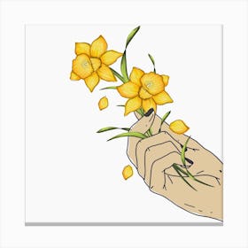 Daffodils In Hand Square Canvas Print