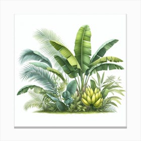 Banana palm 1 Canvas Print