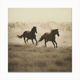 Horses Galloping Canvas Print