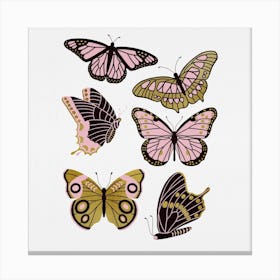 Texas Butterflies   Blush And Gold Square Canvas Print