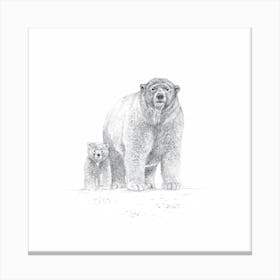 Two Bears Sketch Canvas Print