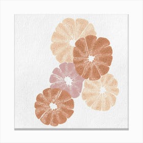 Grapefruit Canvas Print