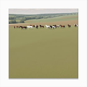 Horses In A Field 13 Canvas Print