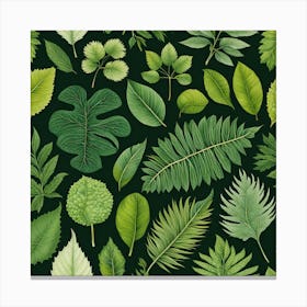 Seamless Pattern Of Green Leaves, Different Types Of Leaves And Their Textures art print Canvas Print