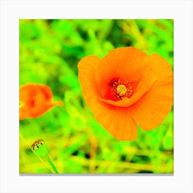 Orange Poppies Canvas Print