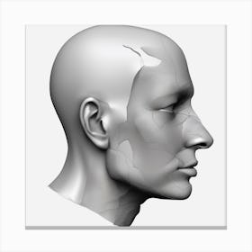 Head Of A Man 4 Canvas Print