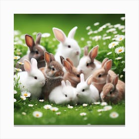 Rabbits In The Grass Canvas Print