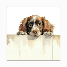 Spaniel Boykin 2 Canvas Print