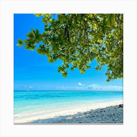 Relax Ocean Plant Idylli Holiday Coastline Beautiful Calm Shore Blue Paradise Sunlight N (25) Canvas Print