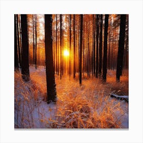 Sunset In The Forest 16 Canvas Print