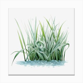 Grass In A Pond Canvas Print