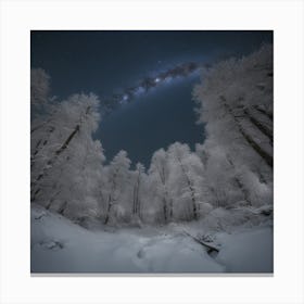 Night In The Forest 1 Canvas Print