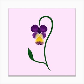 Pansy Flower Canvas Print