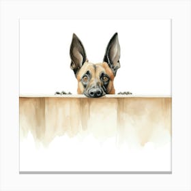 Belgian Shepherd Canvas Print