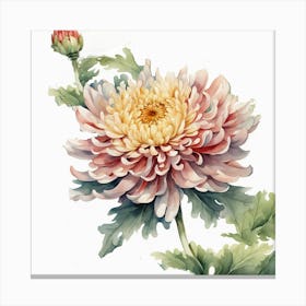 Chrysanthemum 3 Canvas Print