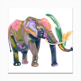 African Forest Elephant 03 Canvas Print