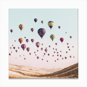 Hot Air Balloons In The Sky Canvas Print