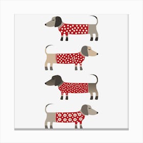 Dachshund Wiener Sausage Dogs in Red Knitwear Canvas Print