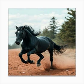 Black Horse Galloping Toile