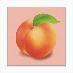 Soft Delight - Modern Minimalist Peach On Pink Canvas Print