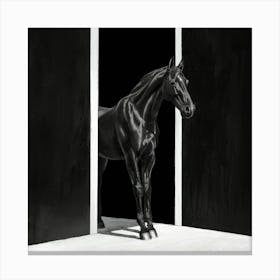 Horse In The Doorway Canvas Print