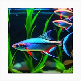 Fishes In The Aquarium Canvas Print