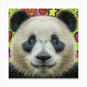 Panda Bear Canvas Art Canvas Print