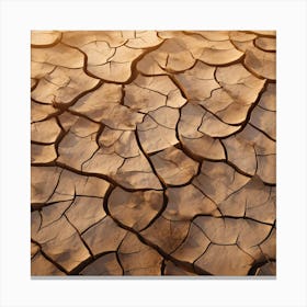 Dry Cracked Earth 4 Canvas Print