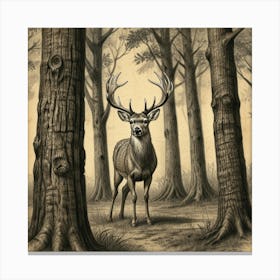 Deer In The Woods 11 Canvas Print